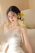 取来自世界的同业就人工智能手艺的平安成长等 